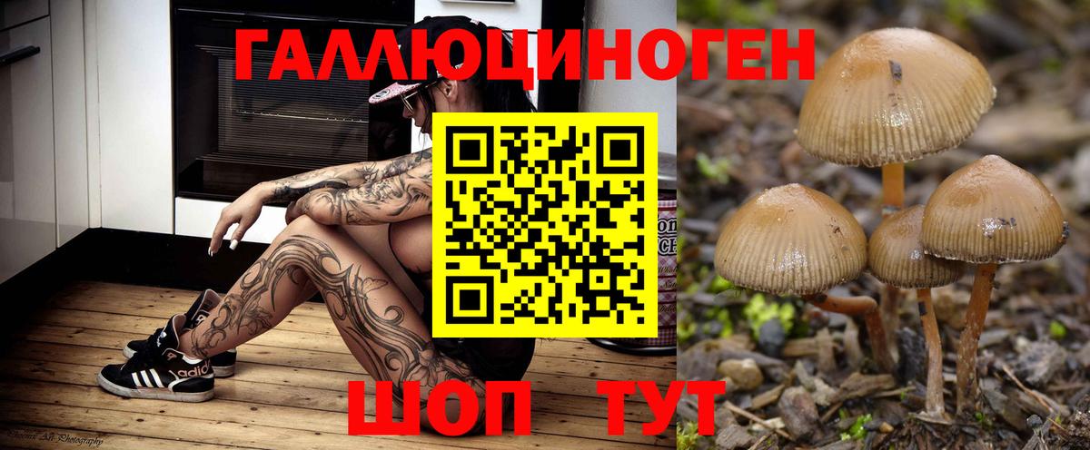 Псилоцибиновые грибы прущие грибы Биробиджан