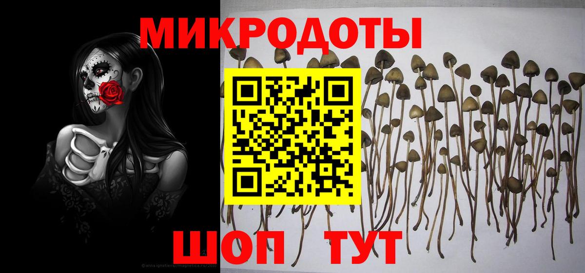 Псилоцибиновые грибы мицелий  Псилоцибиновые грибы Cubensis  Вход с VPN  Биробиджан 